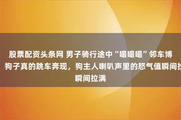 股票配资头条网 男子骑行途中“嘬嘬嘬”邻车博美，狗子真的跳车奔现，狗主人喇叭声里的怒气值瞬间拉满