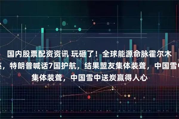 国内股票配资资讯 玩砸了！全球能源命脉霍尔木兹海峡陷入瘫痪，特朗普喊话7国护航，结果盟友集体装聋，中国雪中送炭赢得人心